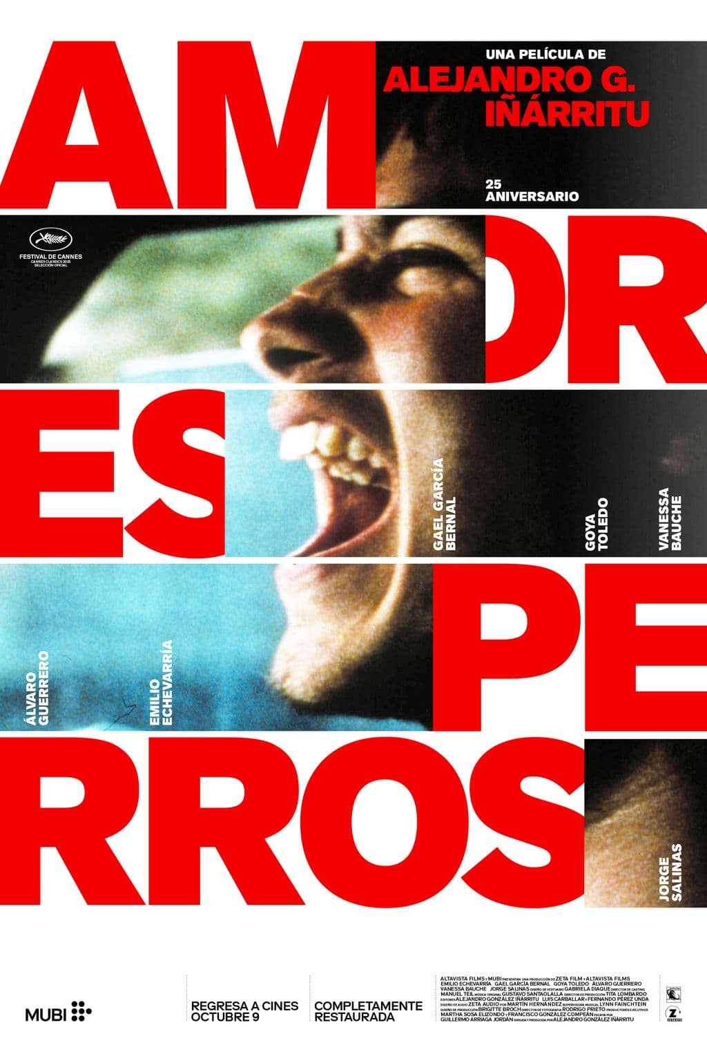 AMORES PERROS.jpg