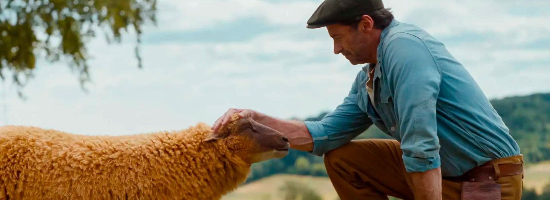 Las Ovejas Detectives