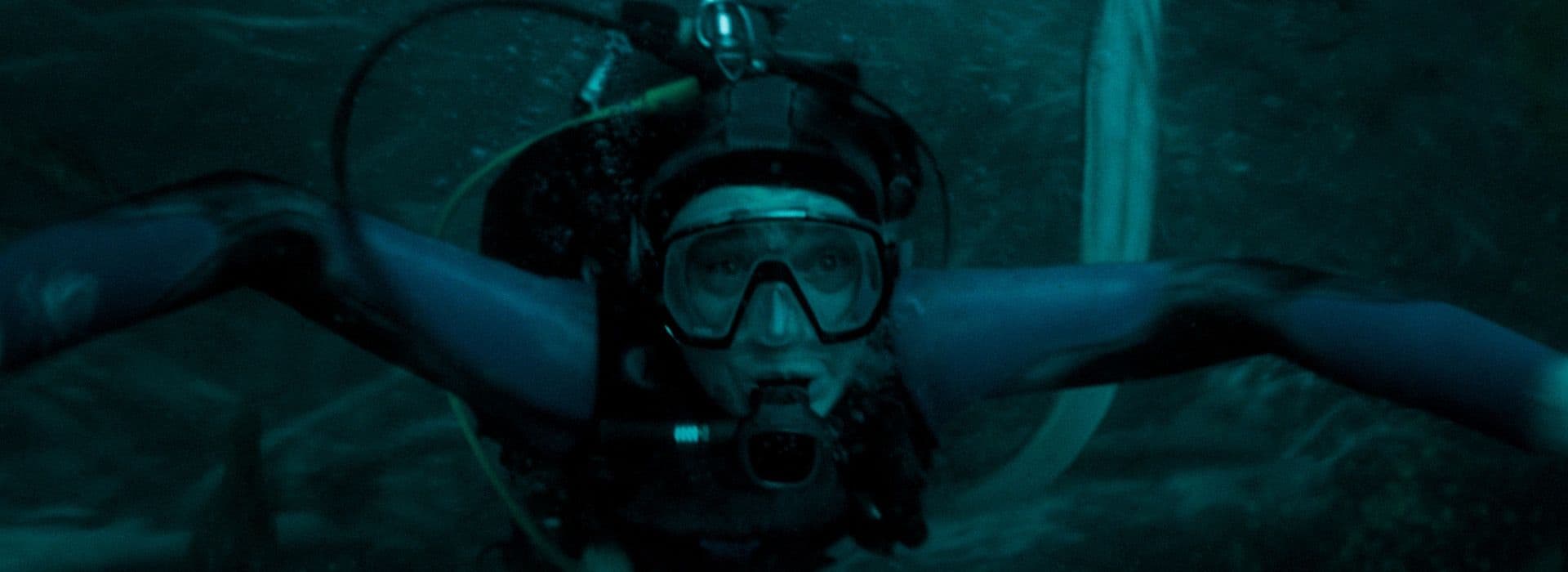 La Caída De La Ballena